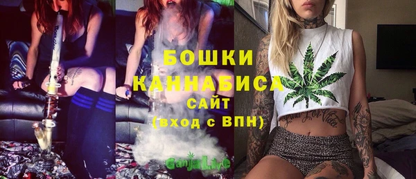 мдпв Липки